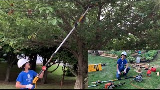 15Feet Reach Cordless Compact Pole Saw Dewalt DCPS620B 8Inch 20V Lithium  Unboxing Demo amp Review [upl. by Ociral736]