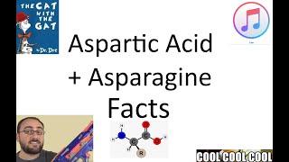 Some Quick Facts About Aspartic Acid and Asparagine [upl. by Keele]