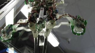 Stanfords Stickybot a Geckolike robot climbs vertical services [upl. by Eelegna180]