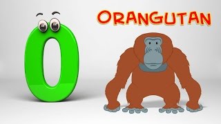 ABC Song  Phonics Letter O [upl. by Clynes]