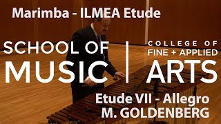 Professor William Moersch  ILMEA Marimba  Etude VII  Allegro  M GOLDENBERG [upl. by Elimac]