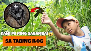 Ang Pagbabalik Sa Ilog Sobrang Dami Pa Ring Gagamba  Gagamba Hunting [upl. by Airrotal]