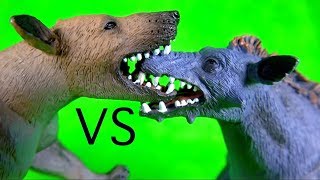 FIGHT BATTLE Entelodont Daeodon VS Hyaenodon Gigas REMATCH PREHISTORIC ANIMALS Who will win [upl. by Iene]