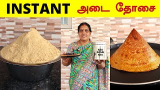 Instant அடை தோசை மாவு செய்முறை ரகசியம்  Adai Dosai Batter Preperation in Tamil  Foodie Tamizha [upl. by Orabel]