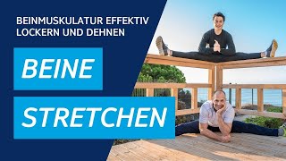 Beine dehnen  Stretching  Beinmuskulatur effektiv lockern [upl. by Callum]