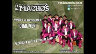 Banda Machos  Dime Ven [upl. by Newob]