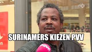 Surinamers kiezen PVV [upl. by Hessney194]