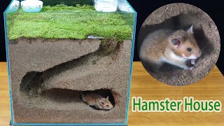 how to make diy hamster hideouthow to make hamster house in aquarium [upl. by Girhiny]