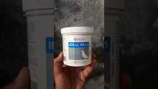 VERSELELAGA PRODUCT IDEAL PILLS FOR PIGEONS pigeon idealpills verselelaga youtubevideo [upl. by Tila574]