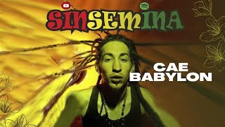 SINSEMINA  Cae Babylon [upl. by Veronica]