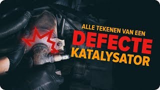 Hoe u de katalysator kunt inspecteren  Tips van AUTODOC [upl. by Uttasta]