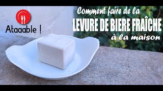 Comment faire de la Levure de Bière Fraîche à la maison [upl. by Latoya]