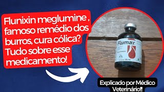 Flunixin ou banamine é um bom antiinflamatório Como deve ser usado Explicado por Médico Vet [upl. by Euqinay]