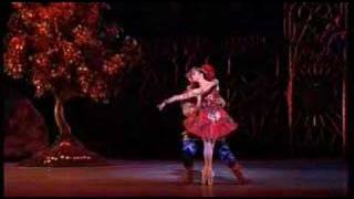 diana vishneva in firebird pas de deux [upl. by Drucy]