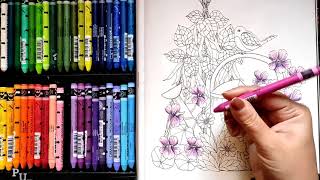 Coloring with Neocolor iiNeocolor 2Caran DacheTwilight GardenMaria TrollePart 1 [upl. by Llennyl58]