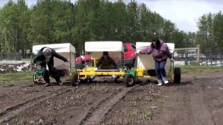 Asparagus harvesters [upl. by Collum]