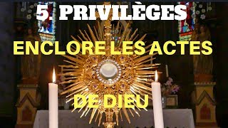 5 PRIVILÈGES LA DIVINE VOLONTÉ DEVENIR DÉPOSITAIRE DES ACTES DE DIEU [upl. by Maddock]