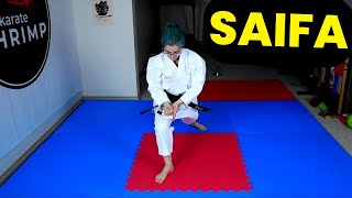 Saifa  Meibukan GojuRyu Kata  Slow amp Normal Speed [upl. by Nalhsa]