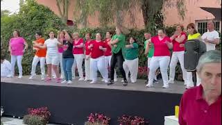 Dansvoorstelling Estepona spanje 2024 [upl. by Kcirdes]