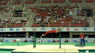 DAVTYAN Artur ARM  2016 Olympic Test Event Rio BRA  Qualifications Parallel Bars [upl. by Ramel]