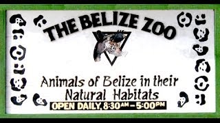 The Belize Zoo [upl. by Lombard547]