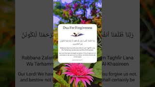 Dua for Forgiveness 😢 [upl. by Takashi]