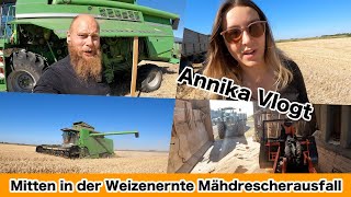 FarmVLOG645  Erster Ausfall beim Dreschen mitten in der Ernte [upl. by Lenahc]