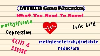 MTHFR Gene Mutation What You Need to Know [upl. by Gelb]