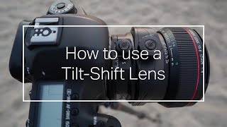 How to use a TiltShift Lens [upl. by Andrej735]