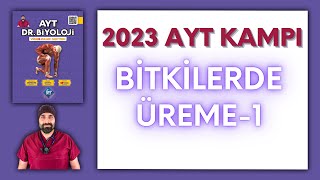 Bitkilerde Üreme1 AYT Biyoloji Kampı Konu Anlatımı 12Sınıf 2024 Tayfa [upl. by Chandless46]