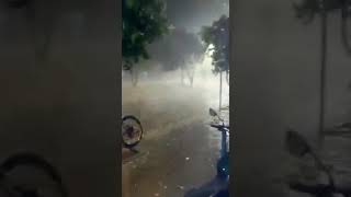 Tempestade de granizo em Jesuítas  PR Ontem  shorts [upl. by Ahsiela]