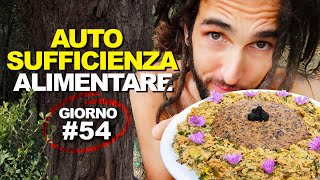 La polenta che NON DOVEVO mangiare  AUTOSUFFICIENZA ALIMENTARE Giorno 54 [upl. by Tompkins]