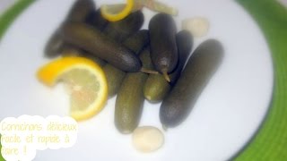 Comment faire des cornichons rapides à déguster sans attendre  Quick pickles [upl. by Alverta]