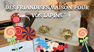 RECETTE DE FRIANDISE POUR LAPIN  NATURELLE ET POUR COCHON DINDE  DIY LAPIN [upl. by Sagerman]