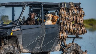 100 Teal in an Hour on Opening Day Incredible Texas Duck Hunting [upl. by Saree]