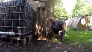 Step 4  IBC Rainwater Harvesting System  First Flush Diverter [upl. by Whitcher]