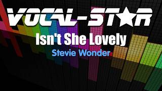 Stevie Wonder  Isnt She Lovely Karaoke Version with Lyrics HD VocalStar Karaoke [upl. by Droc]