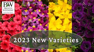 Proven Winners 2023 New Varieties Part 2 [upl. by Tadeo821]