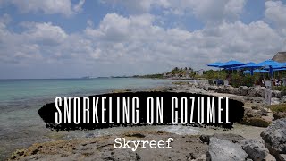 Snorkeling on Cozumel Sky Reef [upl. by Agata330]