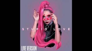 Stupid Love  Lady Gaga Live version concept [upl. by Bliss]