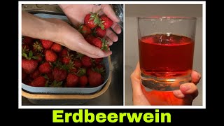 Erdbeerwein selber machen  Fruchtwein aus Erdbeeren Rezept  Selbstversorgung Hobbykeltern [upl. by Mima]