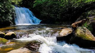 Hiking to Yellow Creek Falls near Robbinsville NC [upl. by Lilyan]