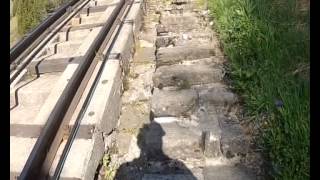 Running up the longest staircase in the world Niesenlauf [upl. by Johansen684]