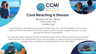 Coral Bleaching amp Disease Reefs Go Live 2022 April 14 [upl. by Ataynek542]