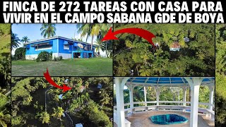 Venta de Finca de 32 Tareas con Casa y buena para Descansar en Hato Dama San Cristóbal Rep Domini [upl. by Samau]