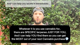 Budtender Talk  Cannabis Terpenes Simply Explained [upl. by Notlek17]