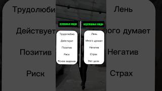 Больше в профиле⬇️ shopify dropshipping ecommerce дропшиппинг шопифай offstudzent работа [upl. by Holtz318]