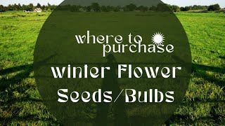 Winter seeds and bulbs [upl. by Enirehtahc]