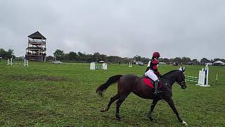 Jaguar Rosette WG Radnor Hunt HT Novice Show Jumping [upl. by Ezaria]