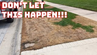 Avoid This Common Mistake When Spot Seeding Cool Season Grass [upl. by Yi]